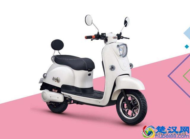 国内最好的电动车品牌，这几个是公认的，有没有你看好的？