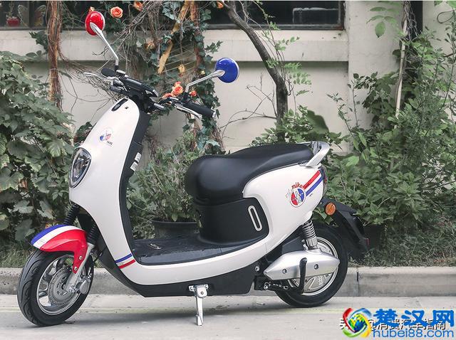 国内最好的电动车品牌，这几个是公认的，有没有你看好的？