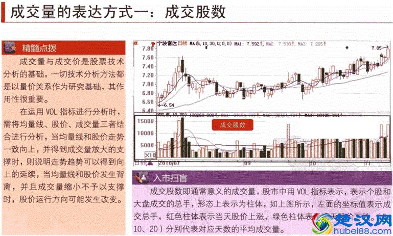 一位醒悟的老股民的肺腑之言：换手率高表示什么？不懂你就输了