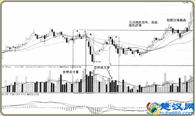 一位醒悟的老股民的肺腑之言：换手率高表示什么？不懂你就输了