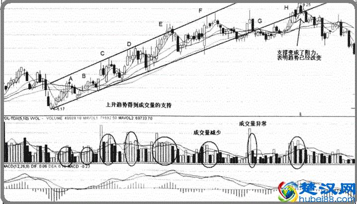 一位醒悟的老股民的肺腑之言：换手率高表示什么？不懂你就输了