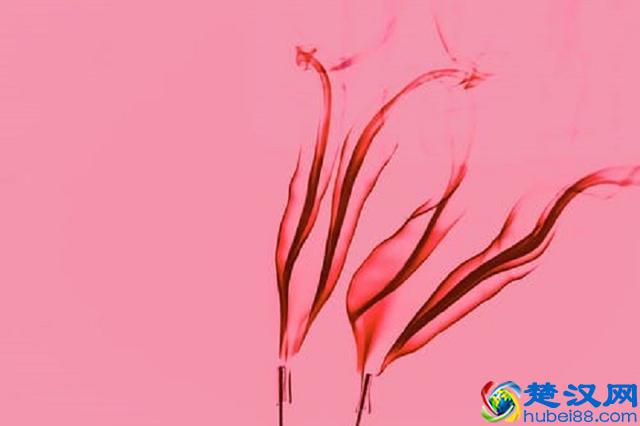 五则妙趣横生的寓言故事，中英文版，看懂了寓意也看懂了人生