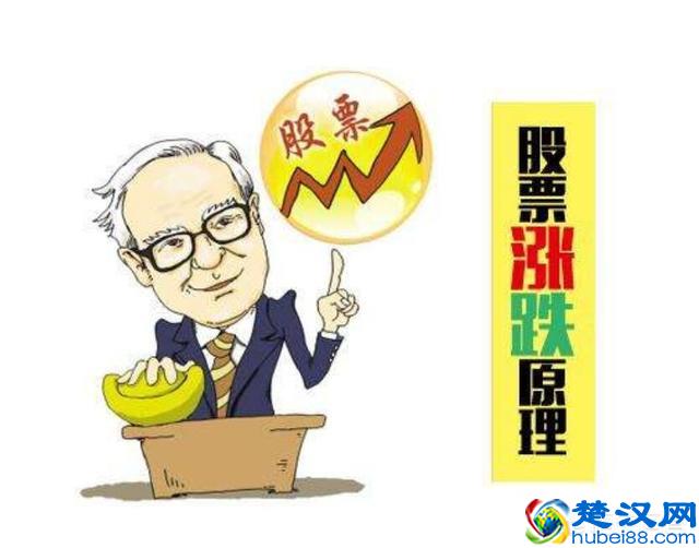 一个股票的上涨下跌是什么原因导致的？