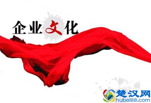 公司企业文化建设方案（经典案例）