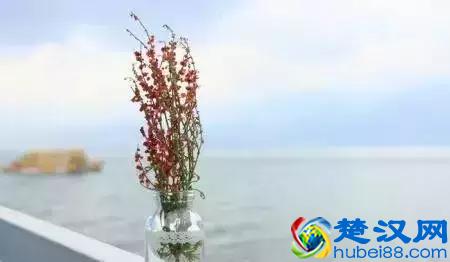 经典管理案例之企业管理