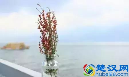 经典管理案例之企业管理