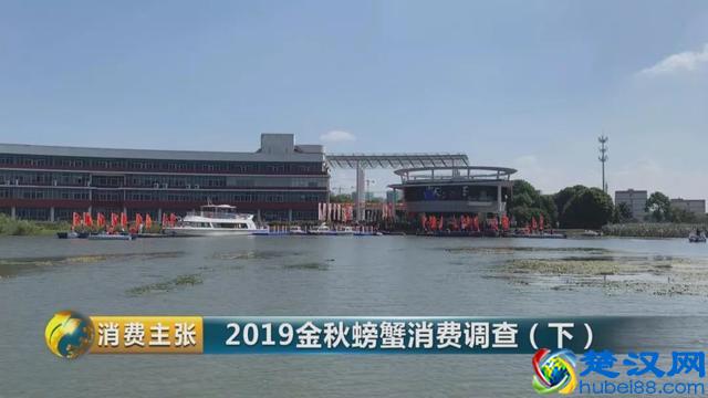 判断阳澄湖大闸蟹是否正宗，记住这一个方法就够了