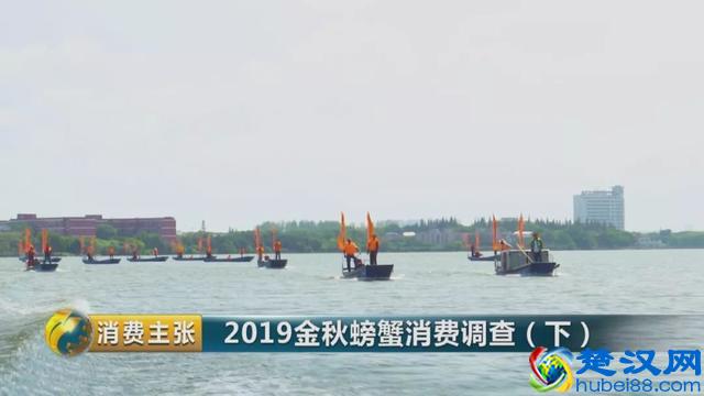判断阳澄湖大闸蟹是否正宗，记住这一个方法就够了