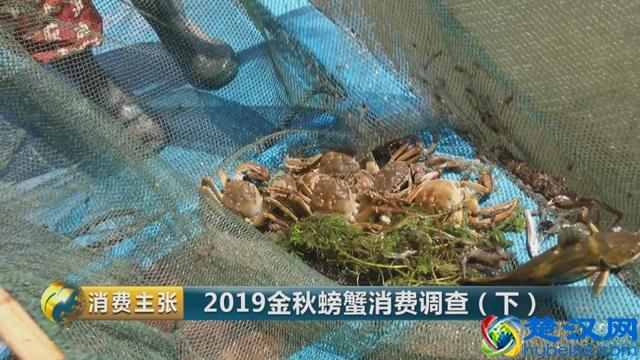 判断阳澄湖大闸蟹是否正宗，记住这一个方法就够了