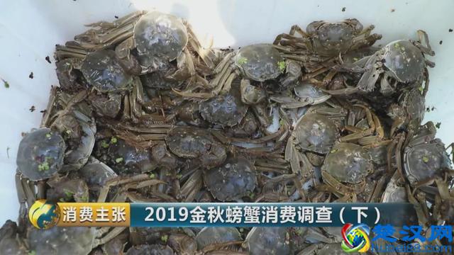 判断阳澄湖大闸蟹是否正宗，记住这一个方法就够了