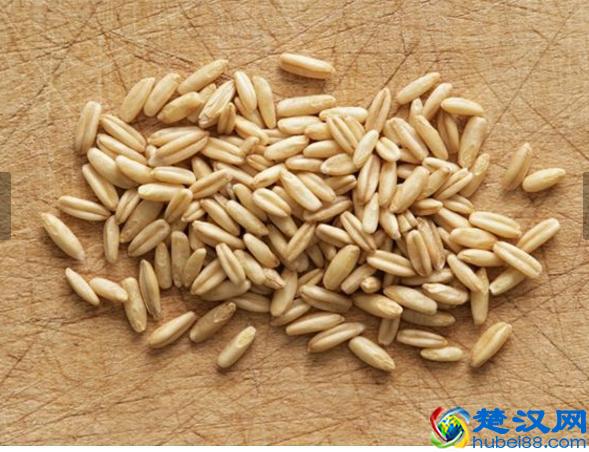 燕麦片的功效及正确食用方法