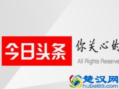 分享几个适合年轻人创业的网络项目，据说做了的都年入几十万