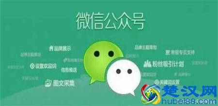 分享几个适合年轻人创业的网络项目，据说做了的都年入几十万