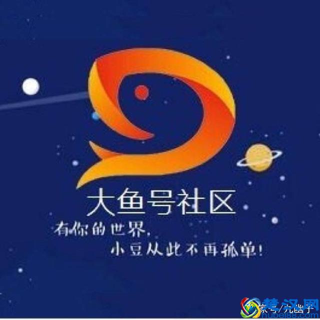 自媒体平台哪个最好,小编真实经历告诉你,坚持