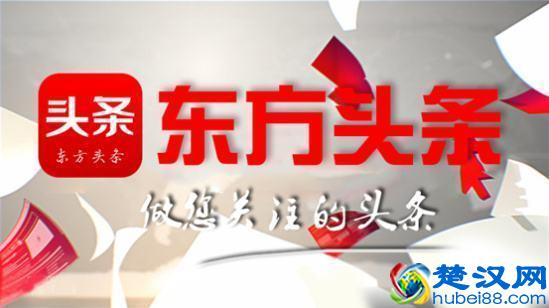 自媒体平台哪个最好,小编真实经历告诉你,坚持