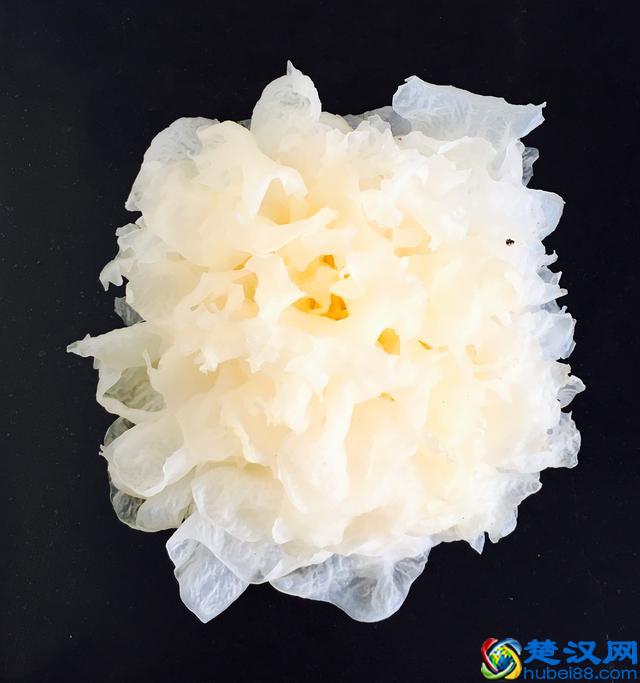 银耳汤怎么样做简单又好喝？银耳雪梨羹的家常做法