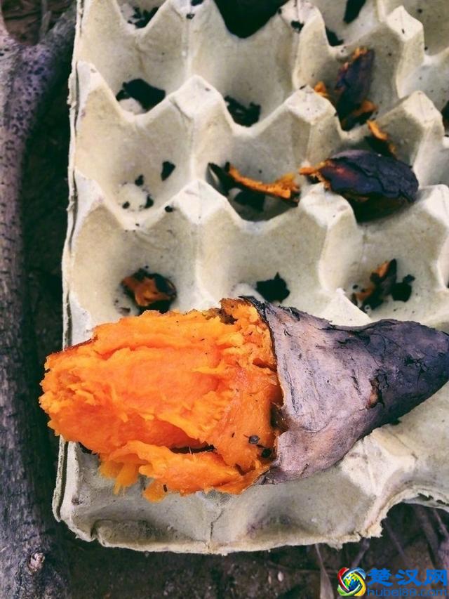 微波炉烤红薯的正确做法，烤出来超级香！