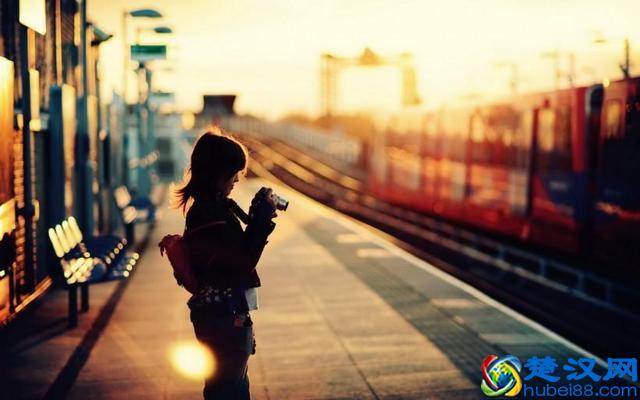 佳能还是尼康?如何选择你的第一台入门相机?