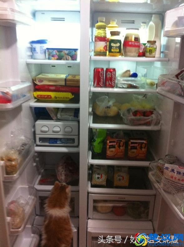 冰箱结冰不用怕，千万别硬砸，只要2个小窍门，快速除冰不伤冰箱