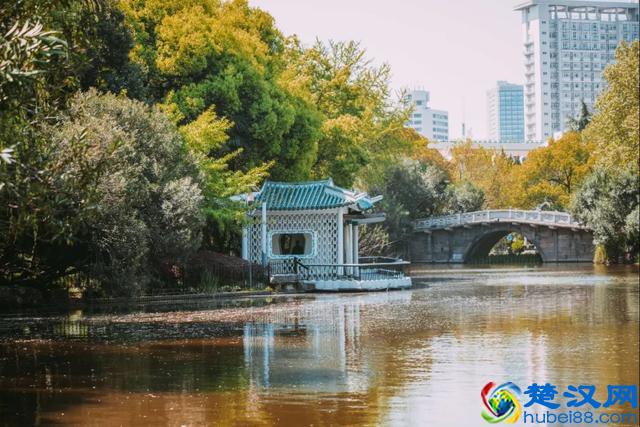 苏轼不可不读的10首诗词，写尽人一生的百种滋味