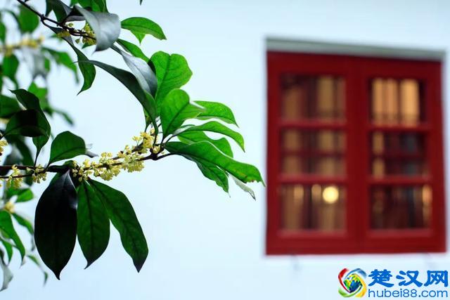 苏轼不可不读的10首诗词，写尽人一生的百种滋味