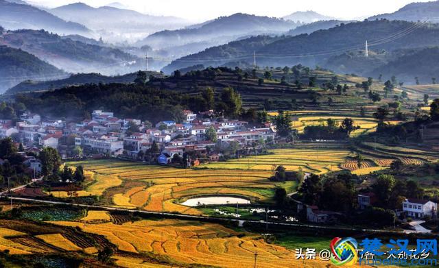 语文教学：修辞手法、表达方式、表现手法