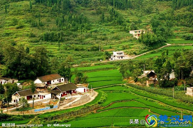 语文教学：修辞手法、表达方式、表现手法