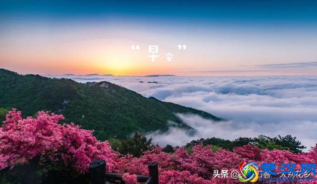 语文教学：修辞手法、表达方式、表现手法