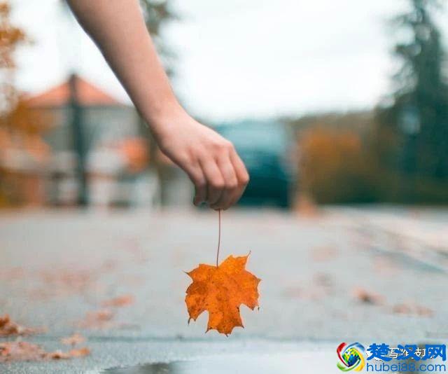 常见的写作手法都有哪些？他们都有什么作用？