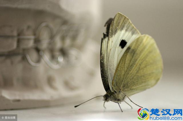 6个寓言故事，为你迷途指津~