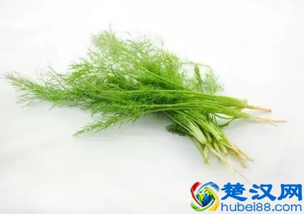 科普│“茴香豆的茴字有四种写法，你知道么”