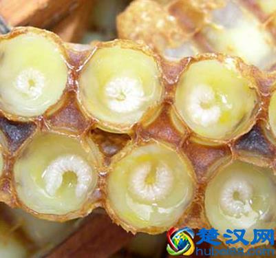 营养价值远高于蜂蜜蜂胶 蜜蜂精华蜂王浆的功效作用