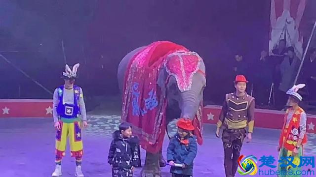 第36届潍坊国际风筝会今日开幕，你想知道的都在这了！