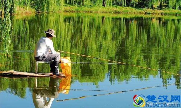 钓草鱼必杀饵料配方，每次使用都不会让你失望