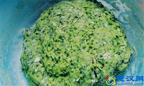 钓草鱼必杀饵料配方，每次使用都不会让你失望