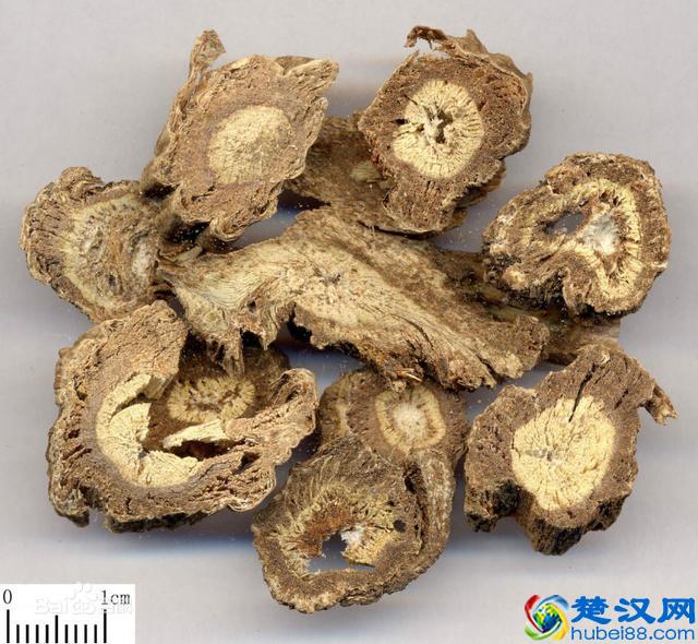 中药独活性味归经及药对功效