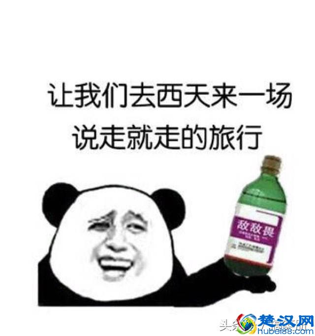 原来这就是蓝领跟白领的区别