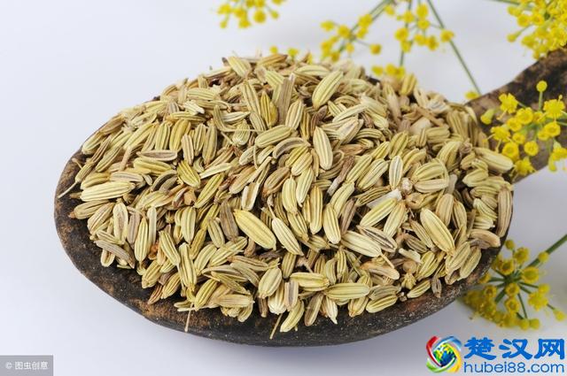 肾阴虚 肾阳虚如何分辨？常吃3种食物 或帮你养肾补虚