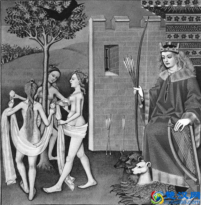 黑漆漆的乌鸦，为何魅力这么大？