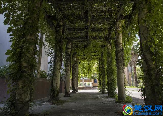 行走的笔记之台湾篇：置身东华大学，给心灵做一次净化