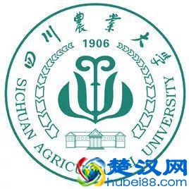 2019全国高校寒假放假时间安排 什么时候放寒假