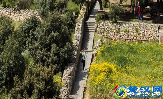 马耳他移民教育，细数马耳他大学的就读优势！