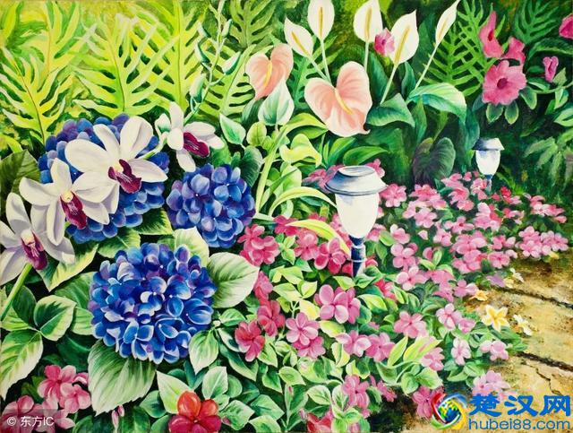 一年12个月，农村每个月都开什么花？