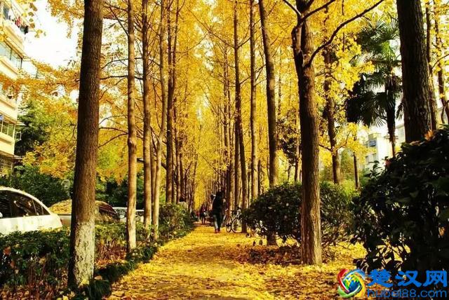 超详细！杭州这些景点乘地铁一号线就能到