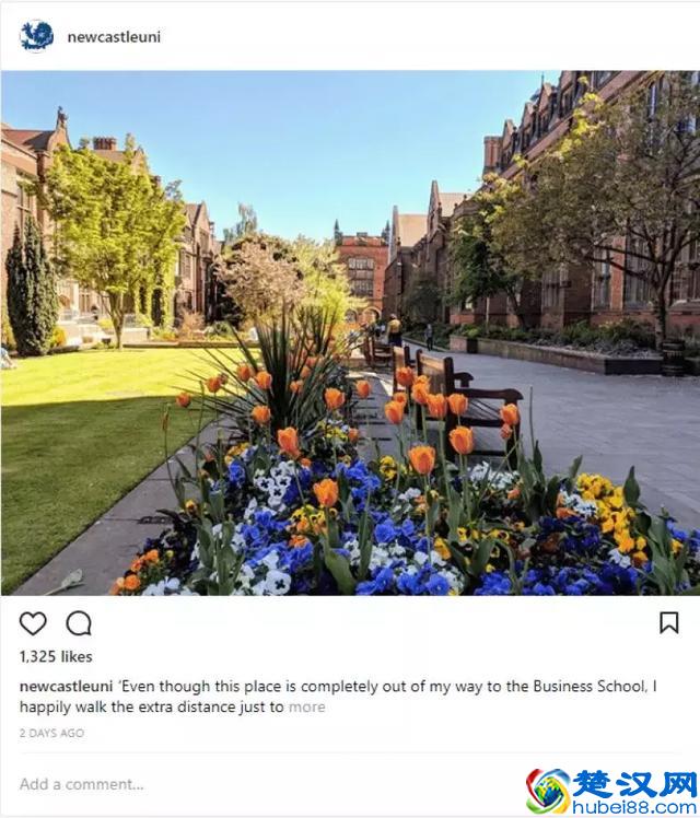 全球夏季最美大学校园排名：多伦多大学夺冠，清华大学第四！