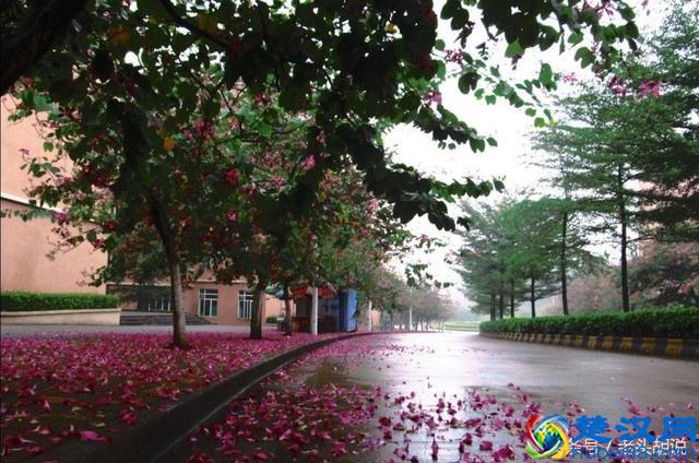 中国三大药科大学！