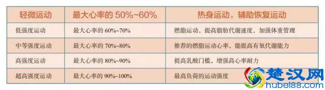 跑得快和跑得慢，哪种减肥效果更好？