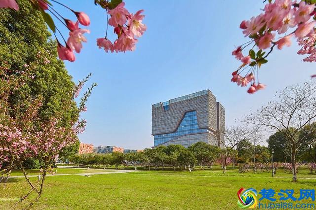 西交利物浦大学2019年最新招生政策来啦