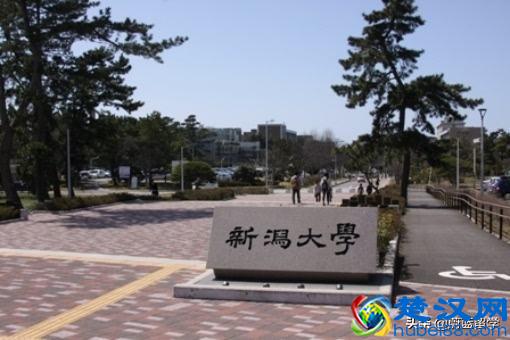 日本新泻大学学费一年多少钱？