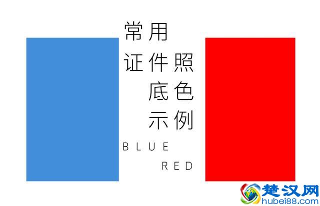 一寸、二寸、小二寸，标准证件照片究竟是什么样的？